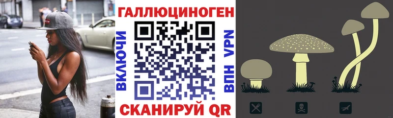 Псилоцибиновые грибы GOLDEN TEACHER Кумертау